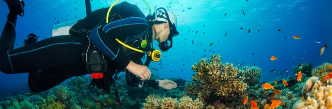 El buceo como deporte requiere de una preparación física específica. ¡Te compartimos algunos consejos!