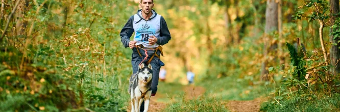 El canicross es una modalidad de running que consiste en salir a correr con tu perro atado al cuerpo mediante un arnés