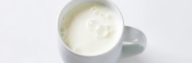 Te contamos los tipos de proteína de suero de leche, y te damos detalles sobre batidos de proteínas y cuándo tomarlos