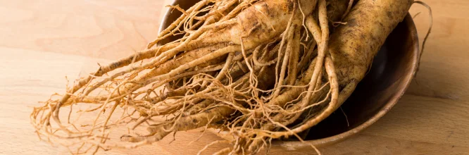 El ginseng rojo coreano se ha utiliza en la medicina tradicional para mejorar la salud. ¡Descubre más aquí!