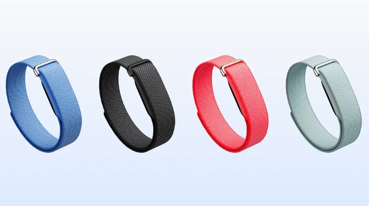 Pulsera Google Fitbit Air