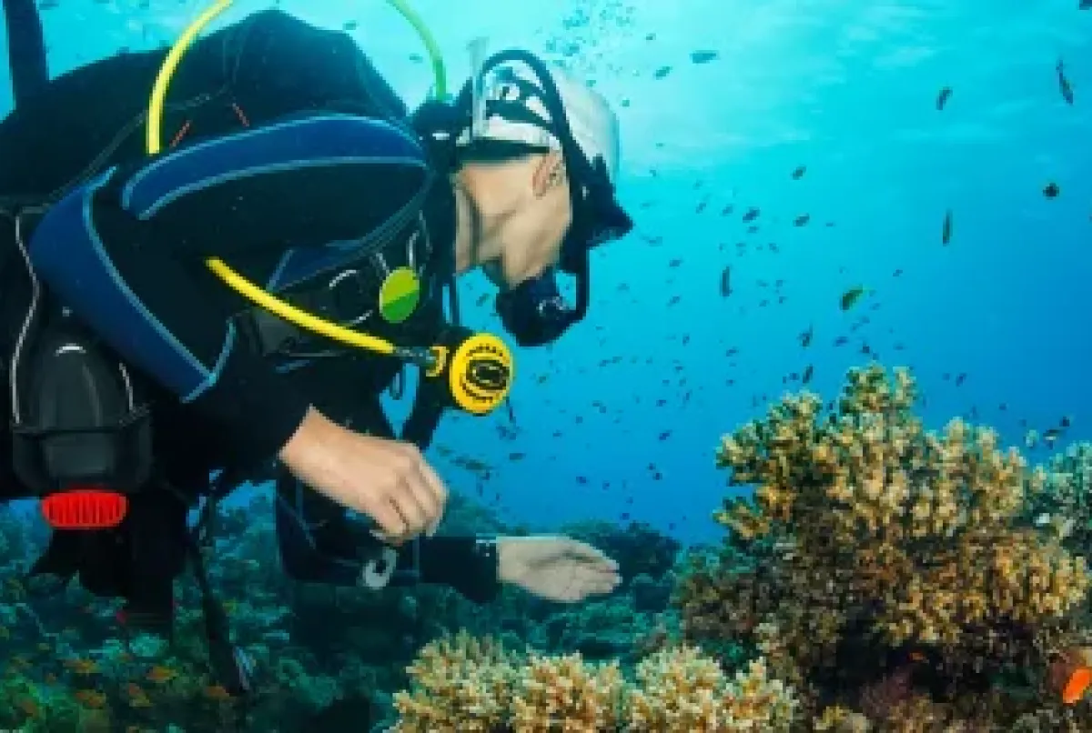 El buceo como deporte requiere de una preparación física específica. ¡Te compartimos algunos consejos!