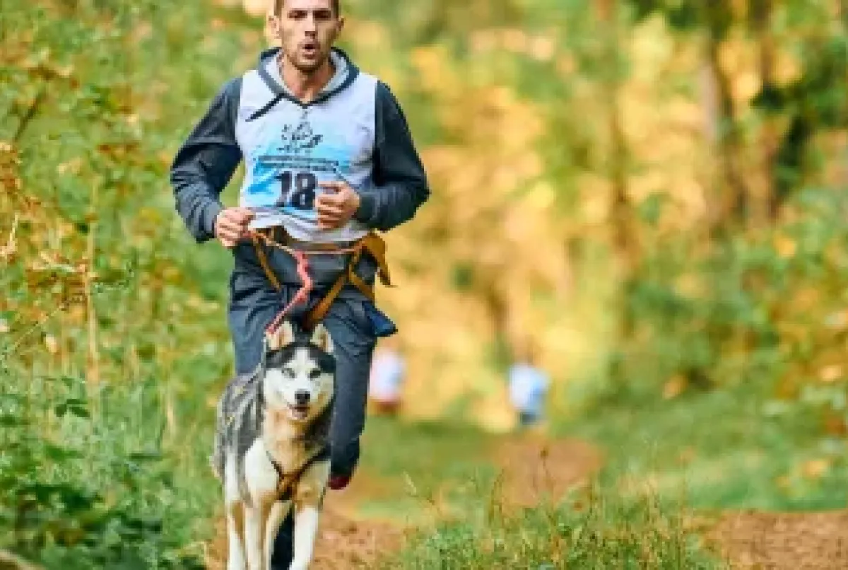 El canicross es una modalidad de running que consiste en salir a correr con tu perro atado al cuerpo mediante un arnés