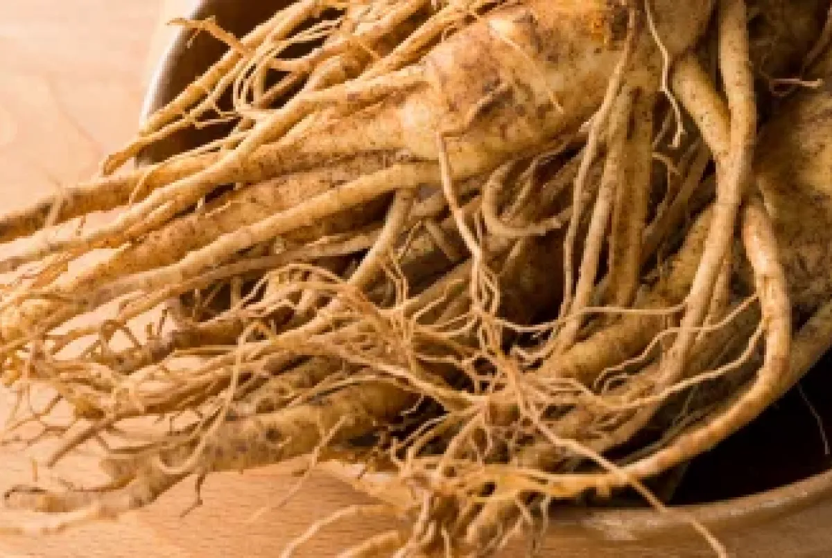 El ginseng rojo coreano se ha utiliza en la medicina tradicional para mejorar la salud. ¡Descubre más aquí!