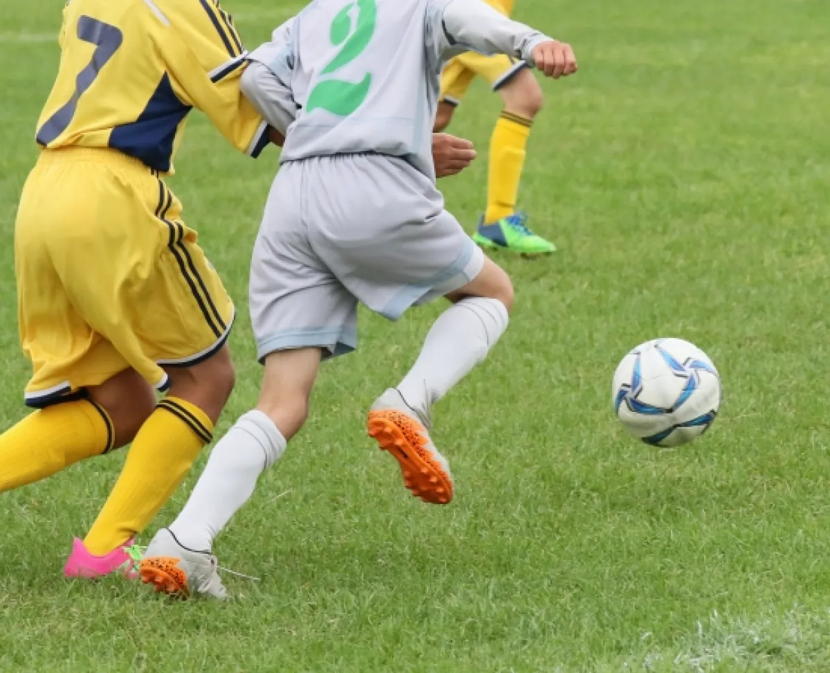 Curso Universitario de Especialización en Entrenador de Futbol 7 Nivel II