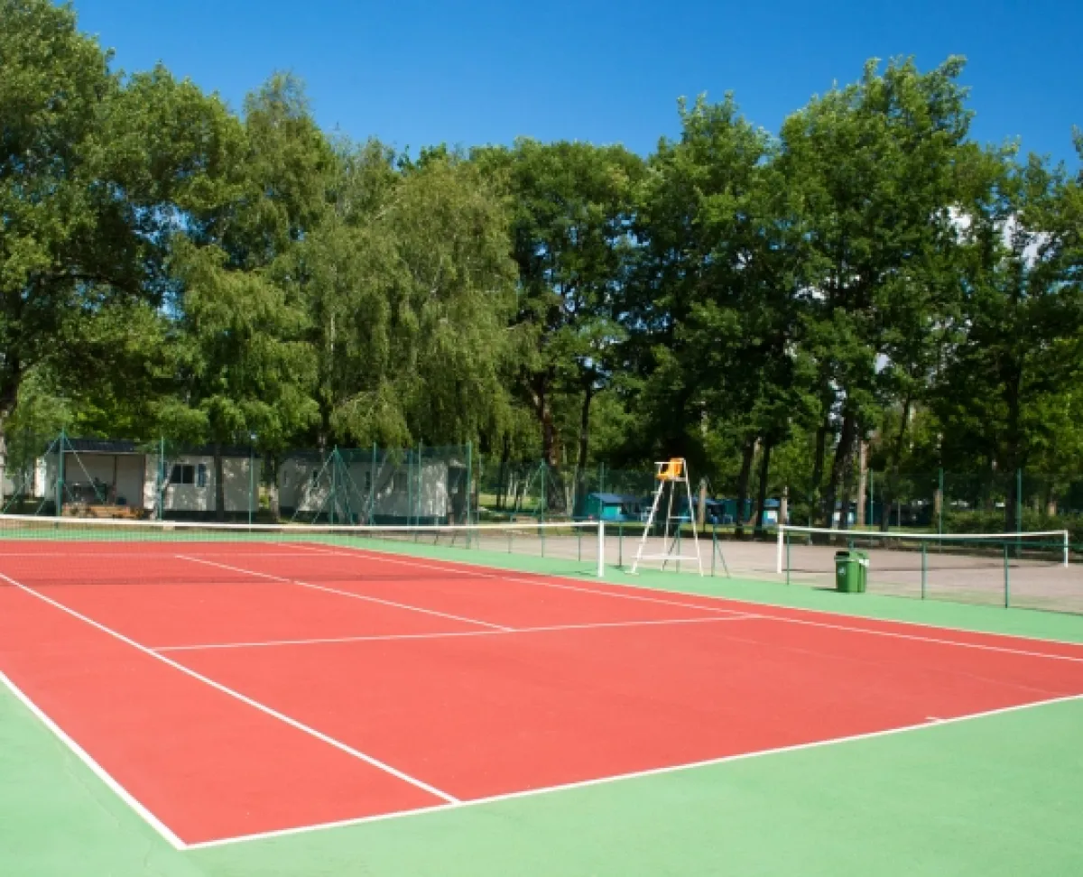 Curso de Tecnificación y Perfeccionamiento Deportivo